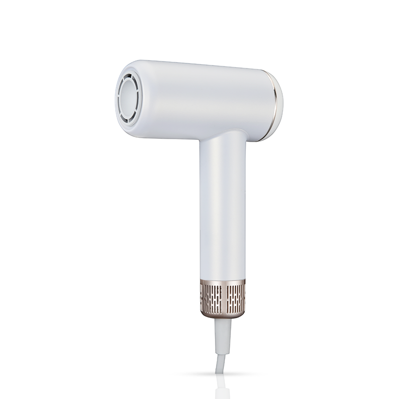 Sèche-cheveux BLDC intelligent haute vitesse AU707